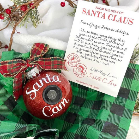 Santa Cam Ornaments