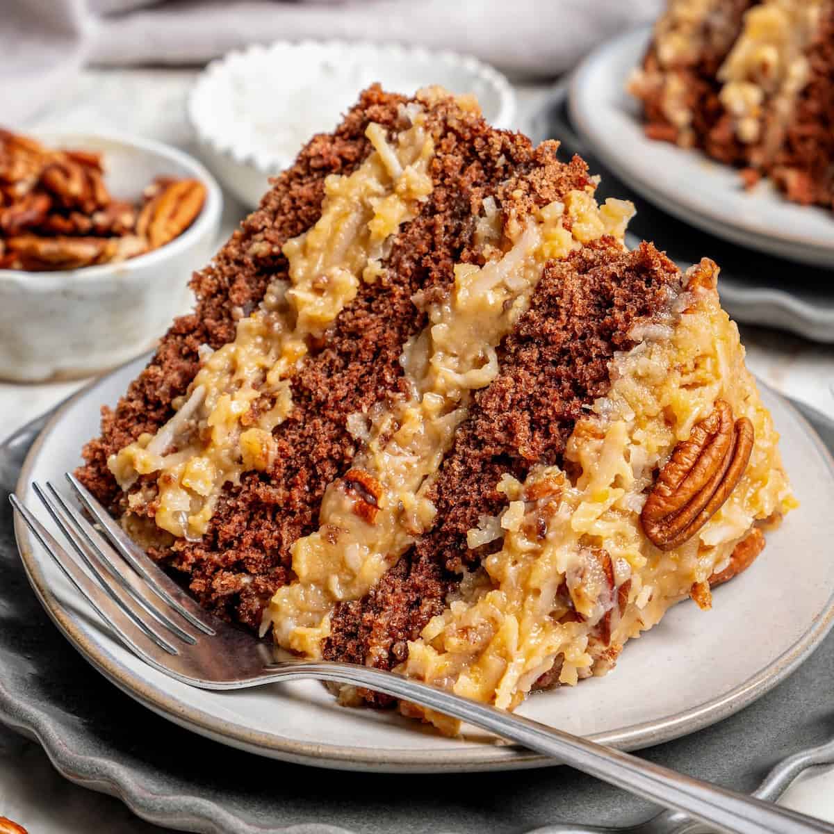 12 Layer Old Fashioned Cakes